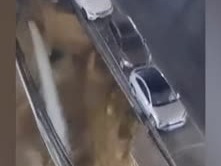 突发！深圳一处水管爆裂，现场泥土滚滚而下
