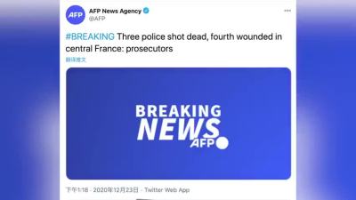 解救被家暴女子，法国中部3名警察遭枪击身亡