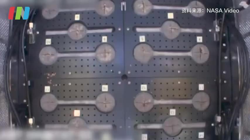 NASA喜提史上首批太空萝卜 仅用27天发育成熟