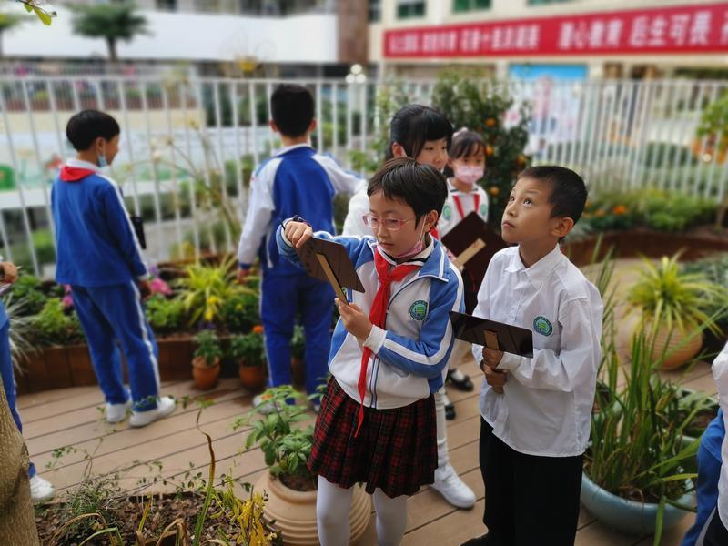 自然走进教育，诗意传遍校园！25名洪湖学子共赴一场与诗经和楚辞花园的美丽约会