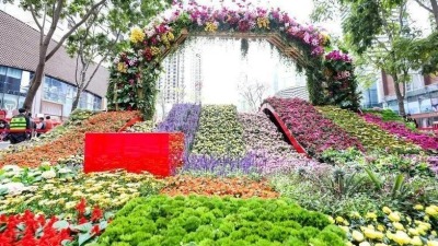 深圳春节设近3200个购花档，开办时间不晚于2月4日