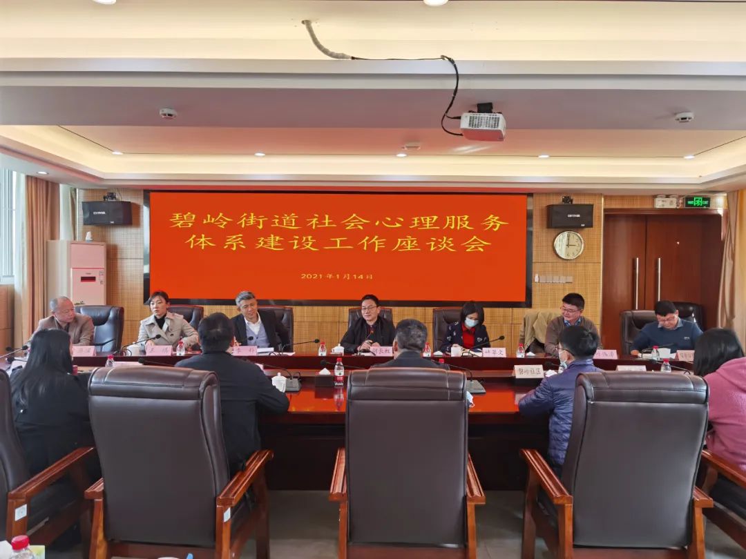 碧岭街道召开社会心理服务体系建设工作座谈会