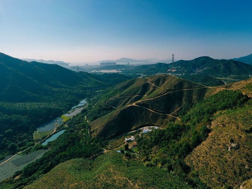 沉香树种植面积9万余亩，“惠州香”如何香飘全国？