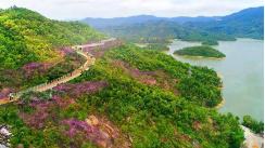 揽山观海！凤凰山山地步道（香山云道）又一示范段春节前开放！