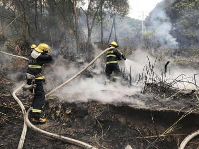 万幸！点烧蚂蚁窝引发树林大火，57名深圳消防员出动成功处置