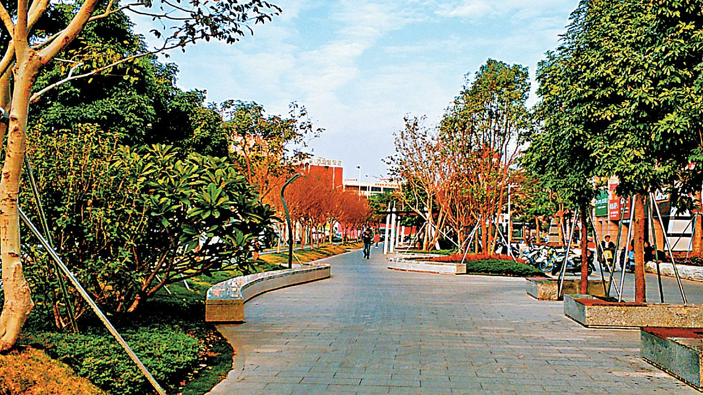公明街道华发-兴发-安发路景观提升工程全面完工 