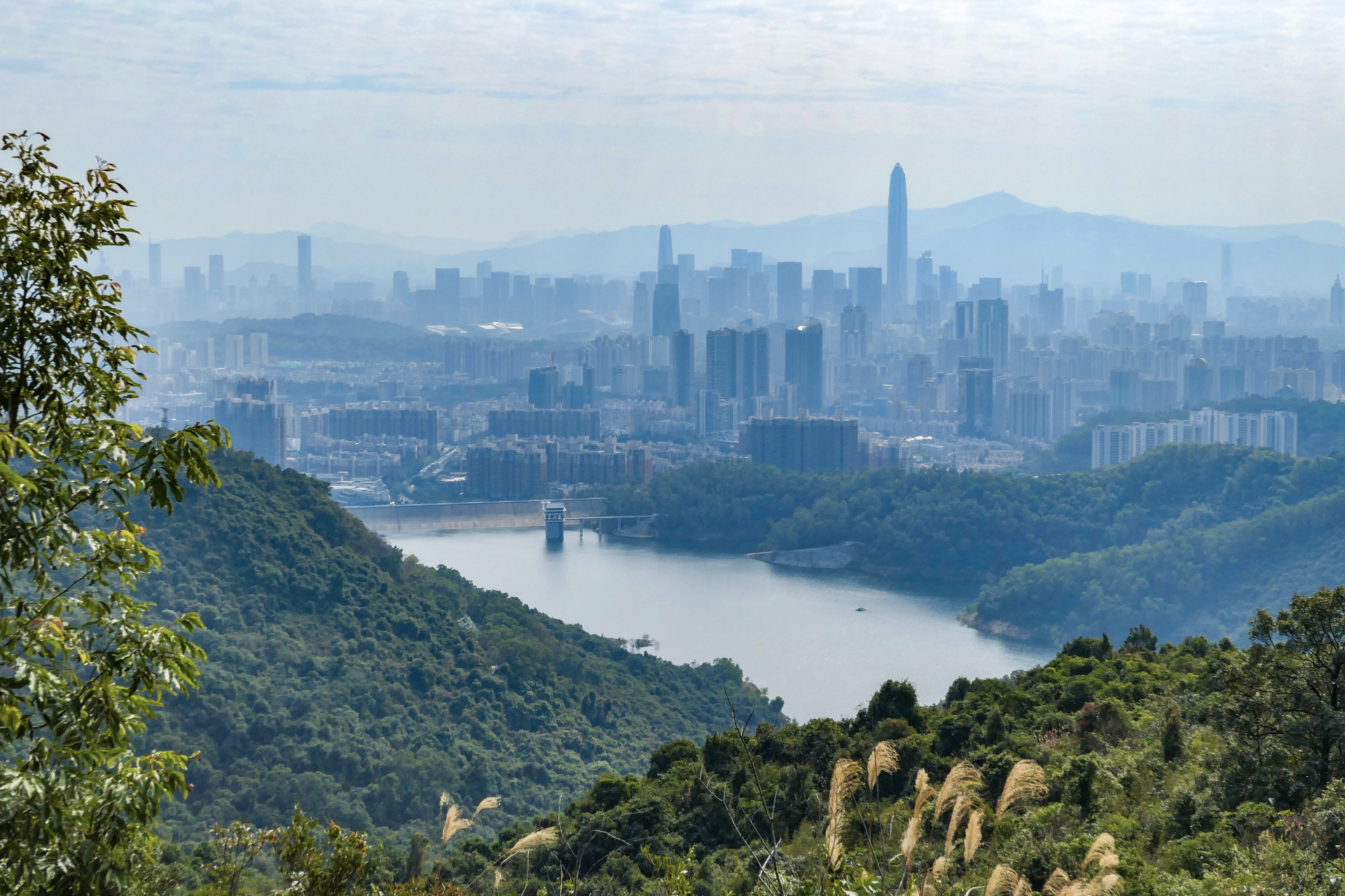 深圳罗湖风景图片图片