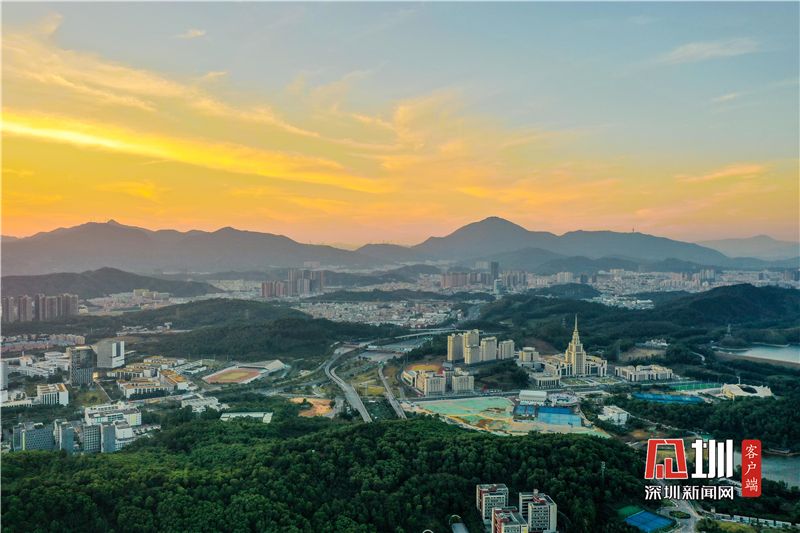 全景 | 迎着龙岗第一个朝阳，2021，我们启程了！