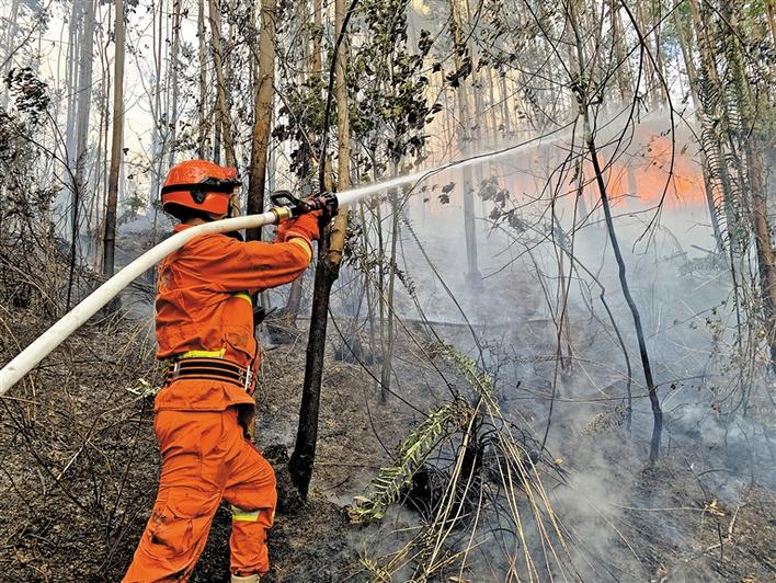 宝安区森林消防大队圆满完成深汕特别合作区森林火灾增援扑救任务