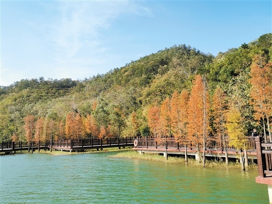 冬游江门，风景这边独好