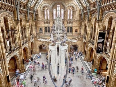 英国自然历史博物馆全球首场直播，亮出了哪些珍宝？