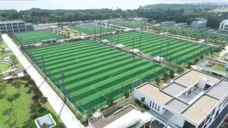 深圳市体育工作联席会议召开！深入推进体教融合及足球场地建设