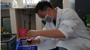合格率远优于国家标准！珠海城镇供水水质总体情况出炉