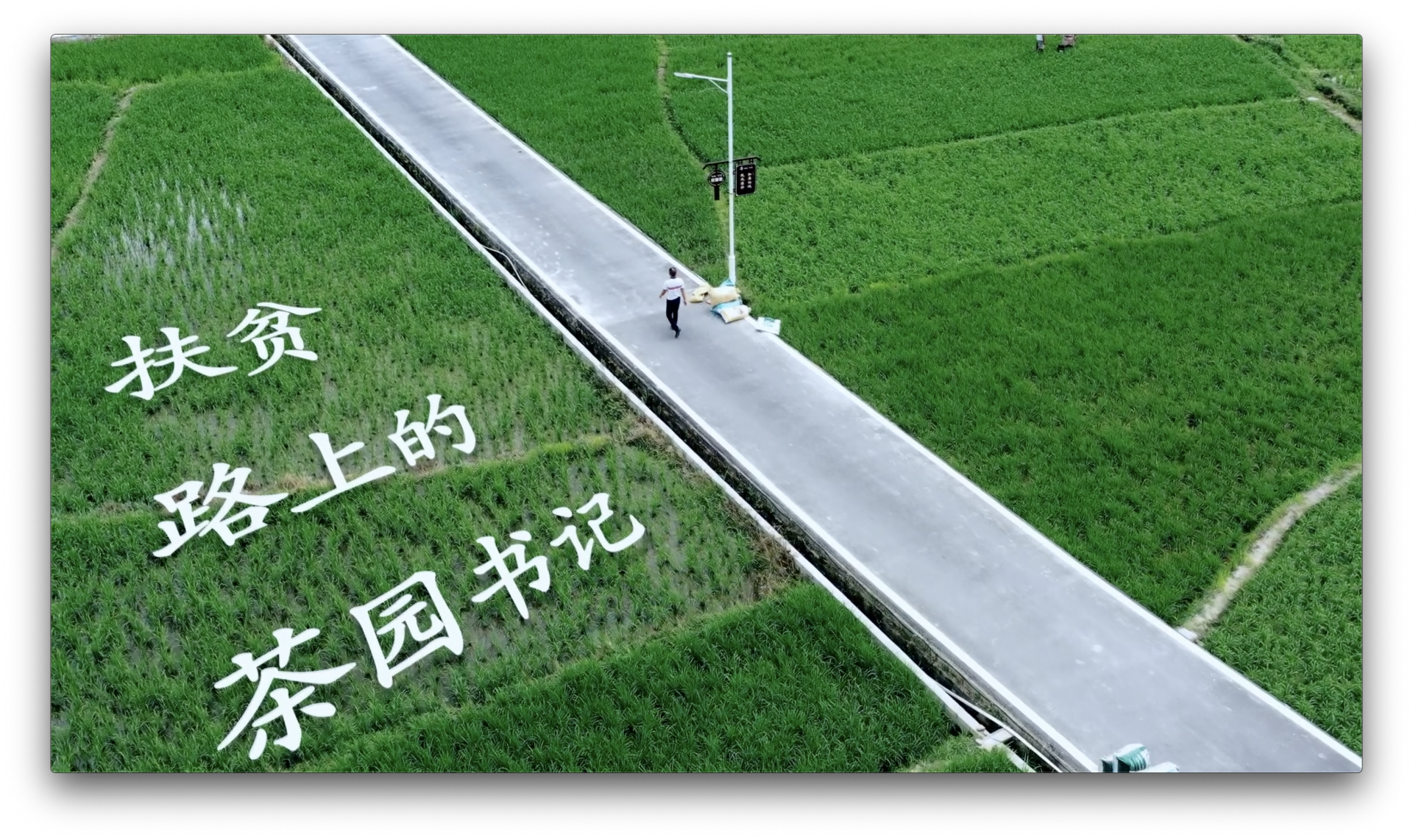 深圳答卷｜扶贫路上的茶园书记