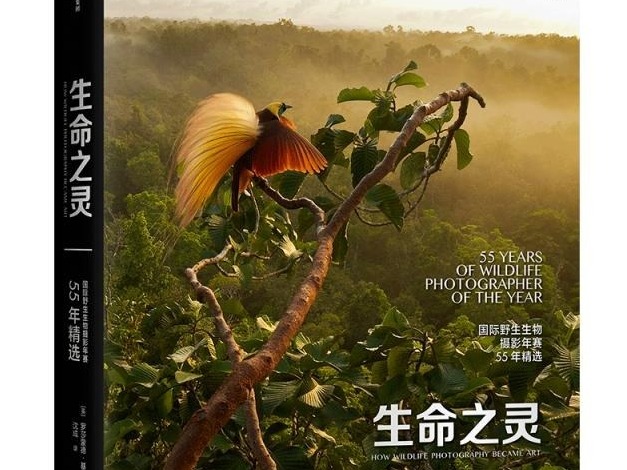 荐书 | 展现对自然的观察、思考 《生命之灵 : 国际野生生物摄影年赛55年精选》出版