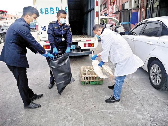 燕罗街道  严查活禽交易 筑牢疫情防控屏障