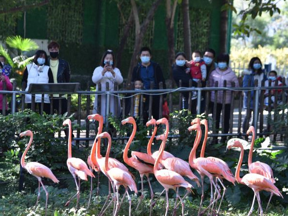 深圳野生动物园：动物萌态十足吸引游人