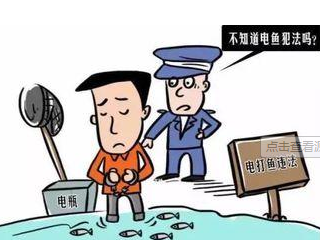 深圳两名男子在杨梅坑海域电鱼被逮捕  