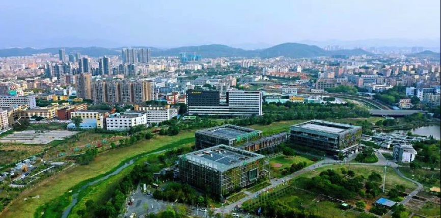 龙岗坪地：政企联手鼓励职工“留深过年”  