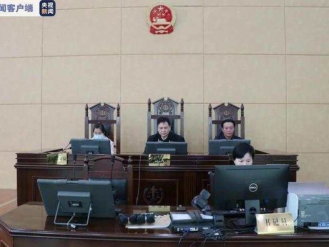 广西合浦2人疫情期间组织他人偷越国境被判刑