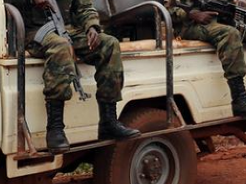 中非共和国政府军与武装组织交火，44名武装分子死亡