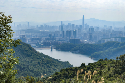 深圳市中部郊野径已开放 跨越南山、福田和罗湖三区