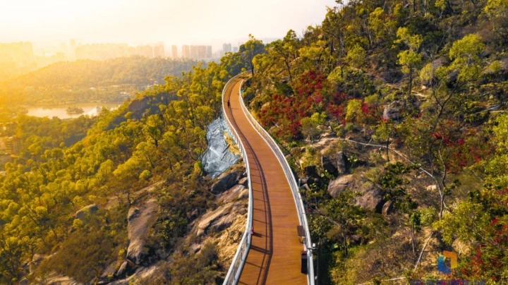 月底或免费开放！板樟山步道来了！风景超美+黑科技，抢先看！