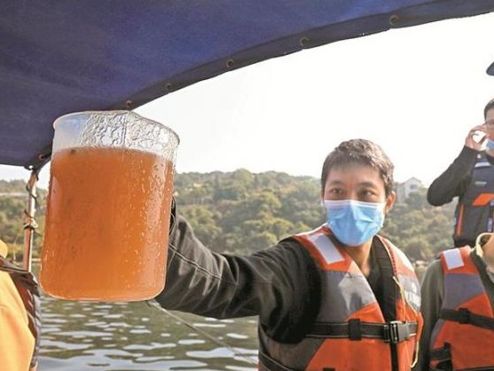 4种赤潮出现，深圳对重点海域启动预警监测