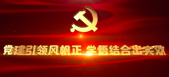 党建引领风帆正，学悟结合出实效