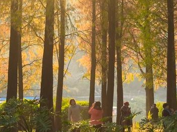 大暖天里广州官宣入冬，距上次入冬成功已1075天