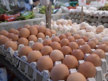 香港暂停进口德国和意大利部分地区禽肉及禽类产品