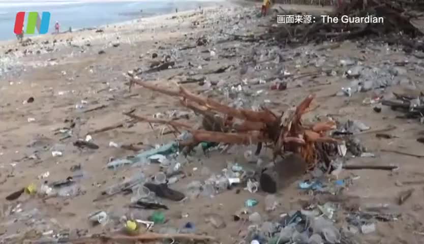巴厘岛每天清理数十吨垃圾