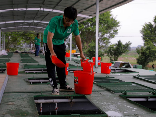 鼎湖5种鱼入选国家名特优新农产品