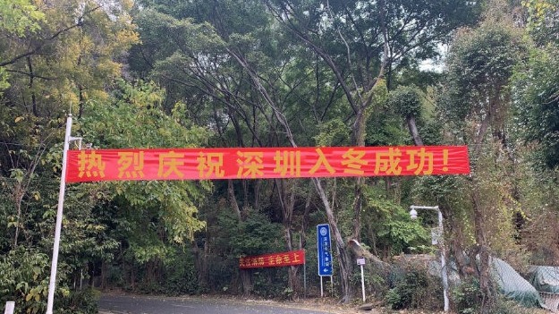 官宣！时隔1066天之后，深圳于1月8日再一次成功入冬