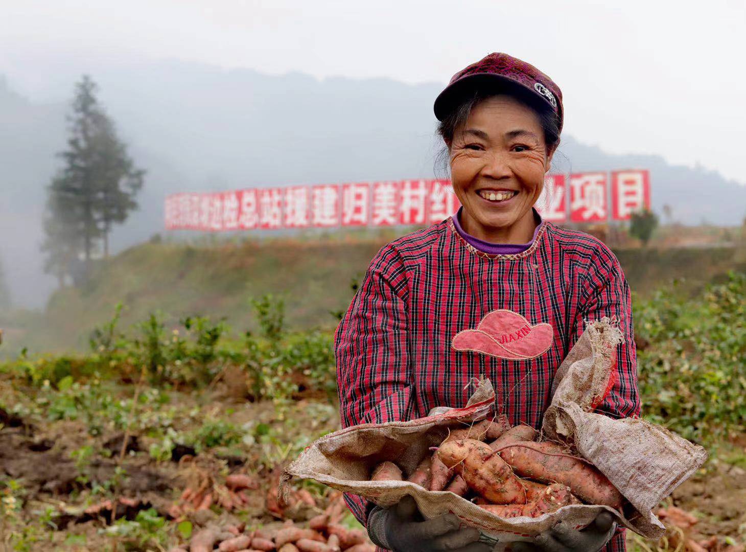 深圳边检帮建的广西归美村红薯加工厂“领证”了！