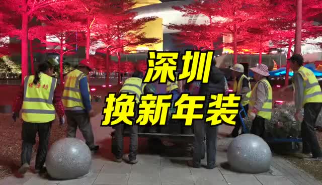 深圳街头绿化连夜换新装  春节期间来拍照打卡吧！ 