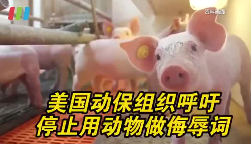 美国动物保护组织呼吁停用动物骂人