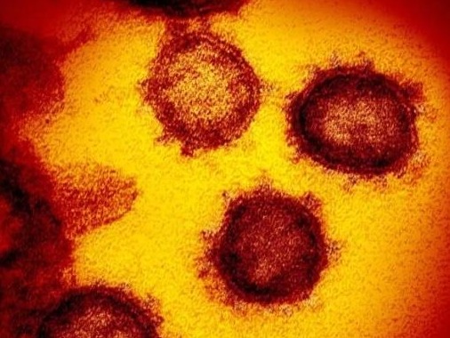 世卫组织：全球至少60个国家发现变异新冠病毒