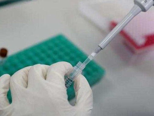 世卫组织：全球报告新冠肺炎确诊超9687万例