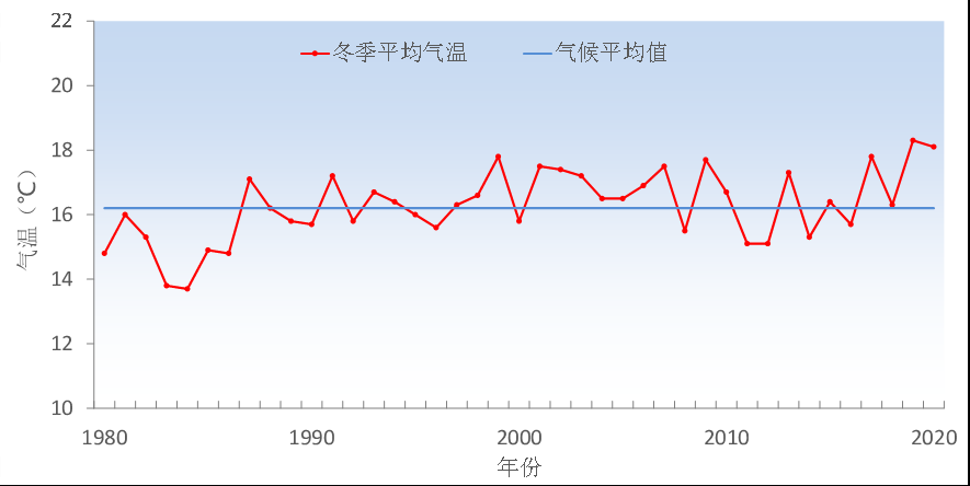 2020年深圳十大天气气候事件出炉