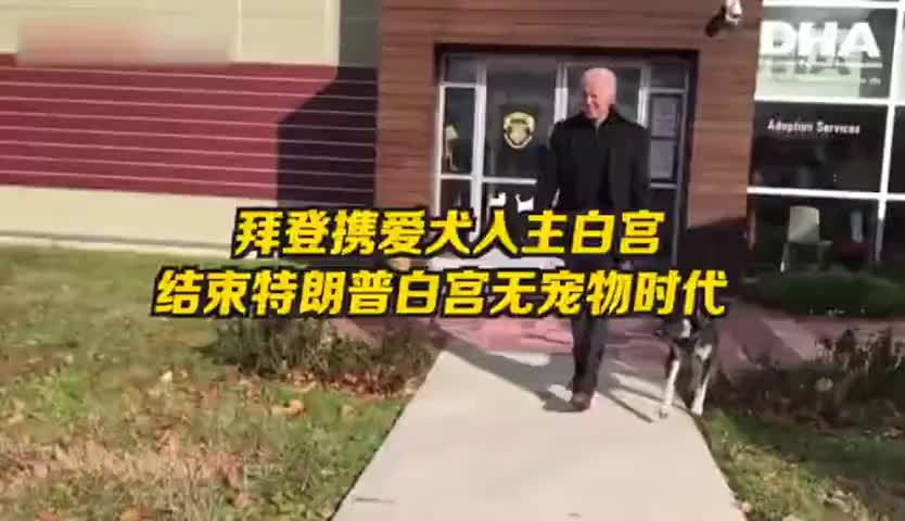 拜登携爱犬入主白宫 特朗普白宫无宠物时代结束 