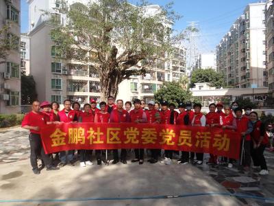 金鹏社区党委开展“清洁家园，喜迎新春”大扫除活动