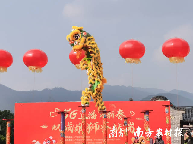 百万人在线看舞狮，5G技术赋能乡村文化新业态