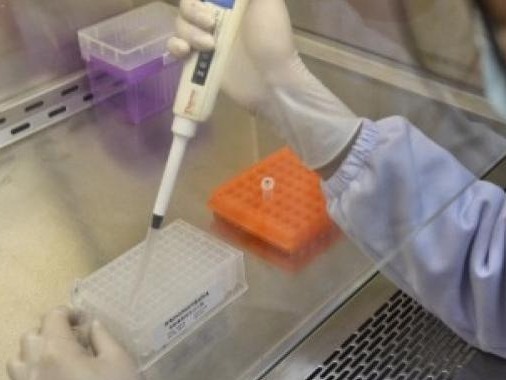 印度男子入境隔离期间三次核酸阴性，包车抵达义乌后检测阳性