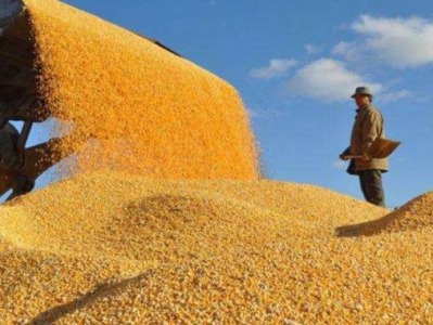 中国社科院国际形势报告：大宗商品供求异变或引发能源矿产粮食危机