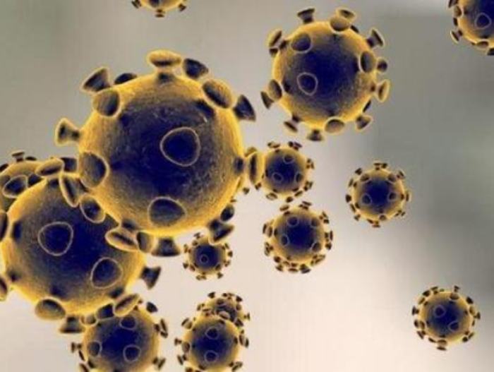 日本发现一种新型变异新冠病毒，可能减弱抗体作用