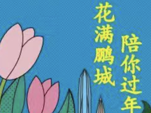 设置10个购花档位 南澳街道“家门口”的迎春购花点即将“上线”