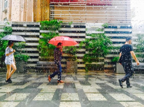 深圳已连续73天没有下雨了！节前将有一场暴雨，春节假期天气…