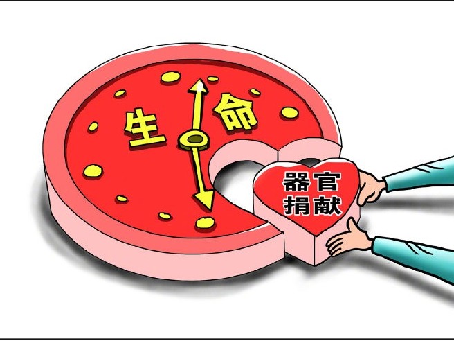全国人大常委会法工委：民法典禁止以任何形式买卖人体器官