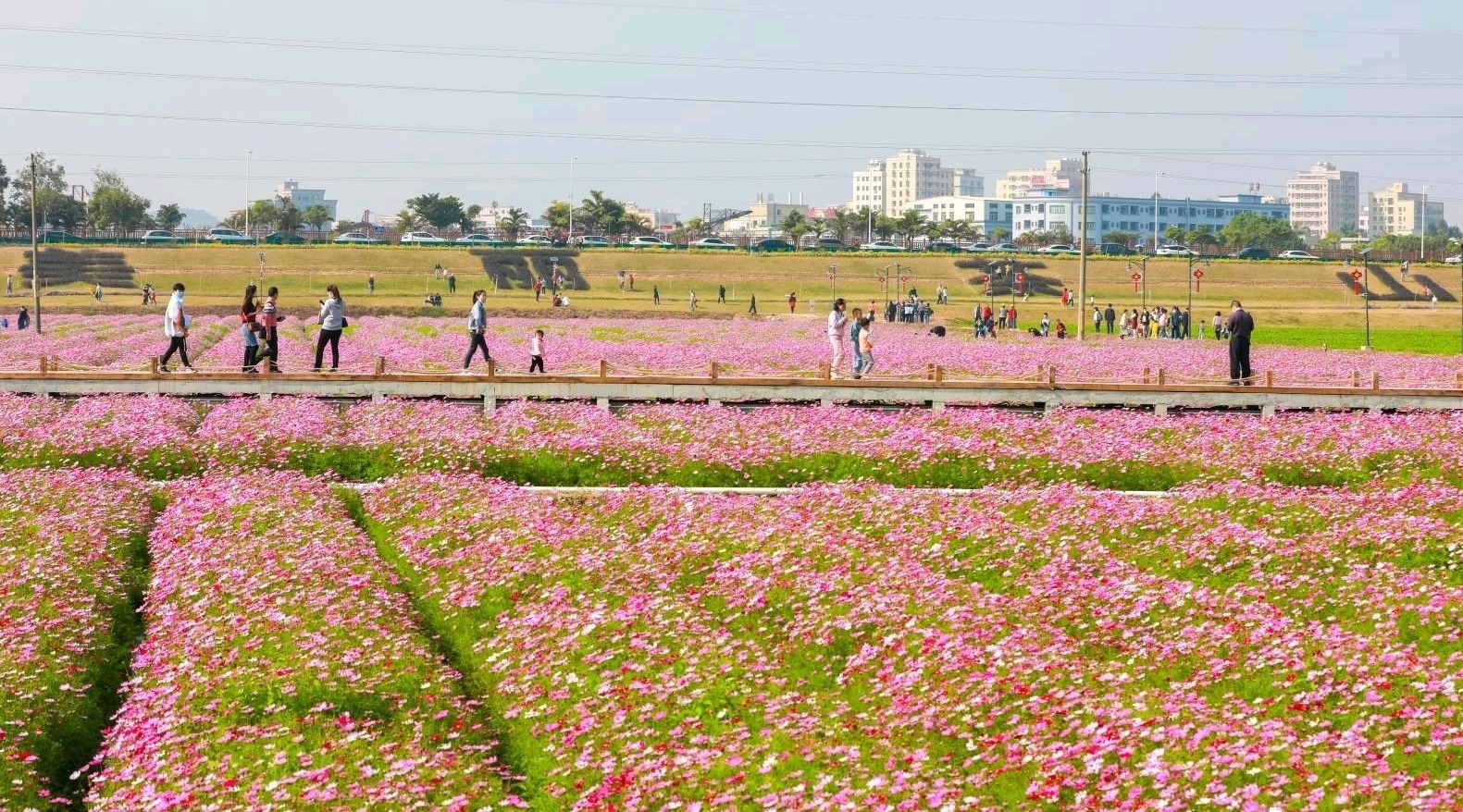 有定位為城市綜合性公園的茶山公園,以稻田農耕為主題的上元稻田公園